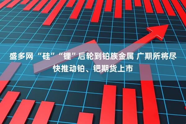 盛多网 “硅”“锂”后轮到铂族金属 广期所将尽快推动铂、钯期货上市